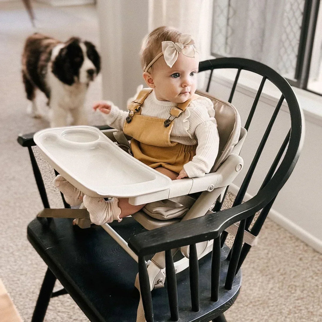 Baby sitting in a FeedMe Booster Seat, secure with harness and removable tray, on a dining chair, ideal feeding chair for toddlers.
