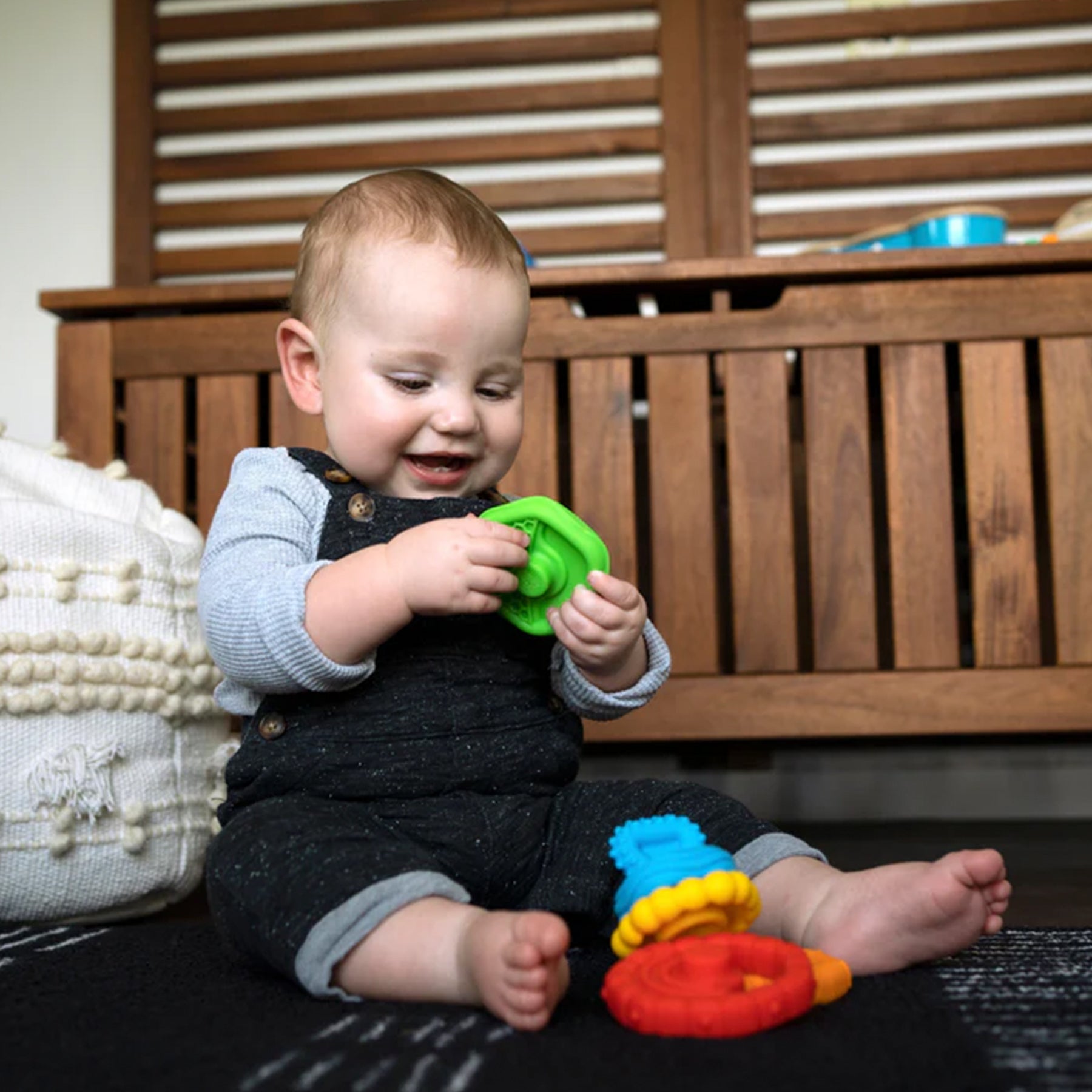 Baby Einstein Toys