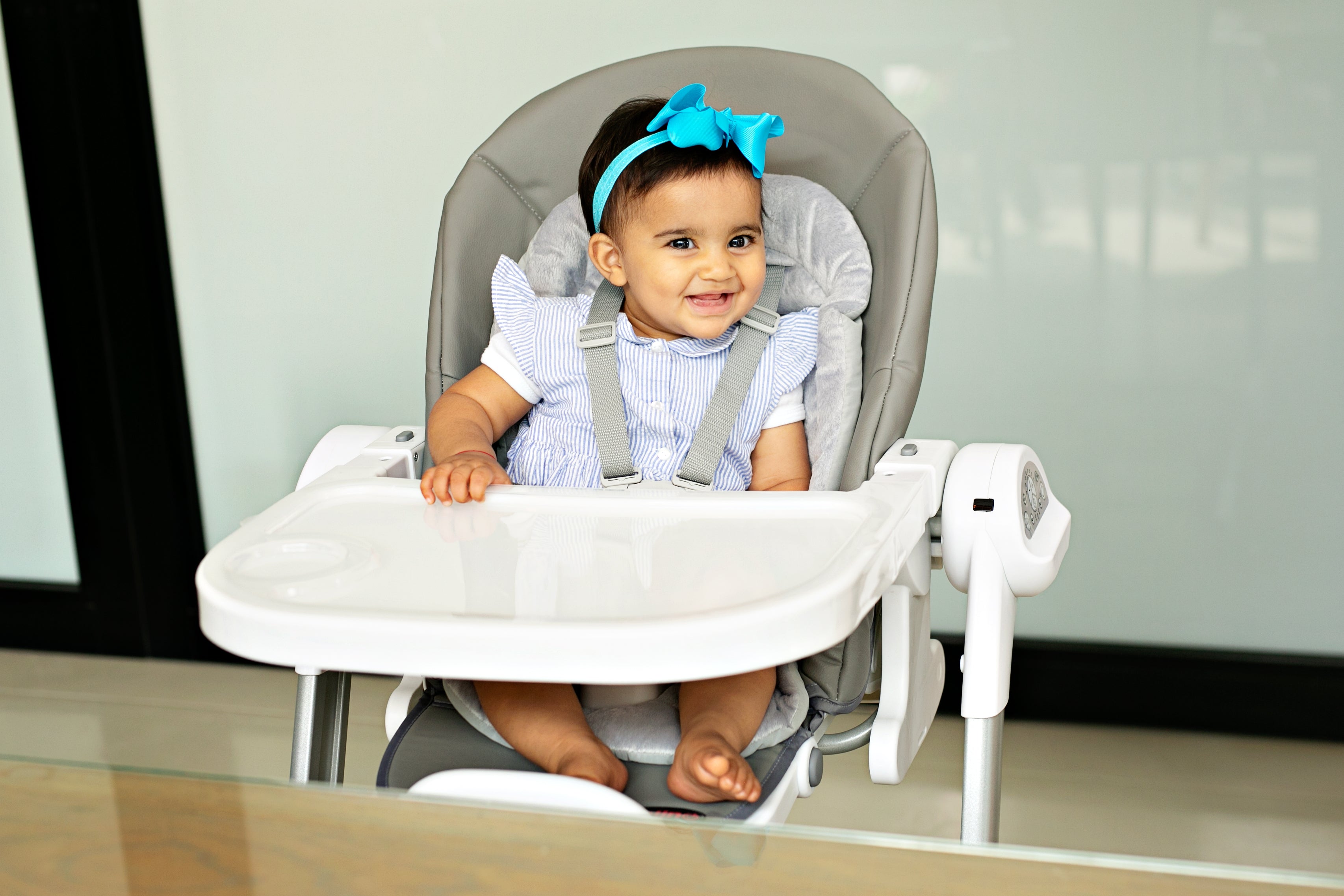 High Chairs for Home