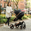 Bee Black and Gold Stroller